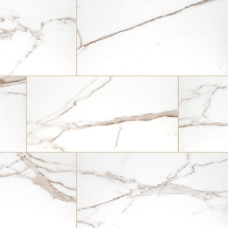 Picture of MS International - Savoy 24 x 48 Matte Crema