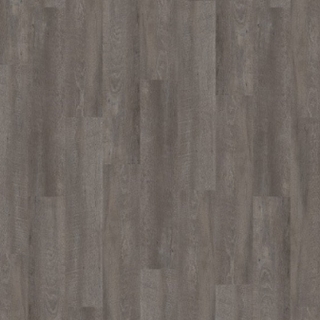 Picture of Palmetto Road - Velocity Compass