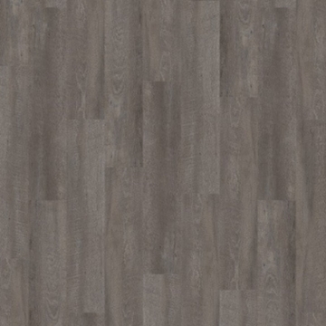 Picture of Palmetto Road - Velocity Compass