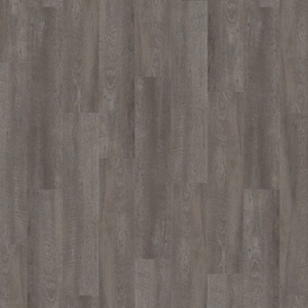 Picture of Palmetto Road - Velocity Compass