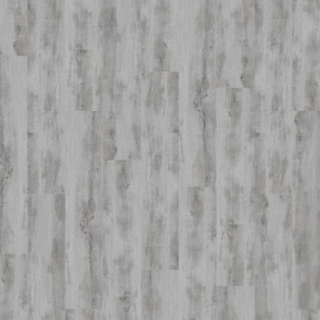 Picture of Palmetto Road - Velocity Safari