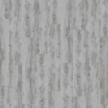 Picture of Palmetto Road - Velocity Safari