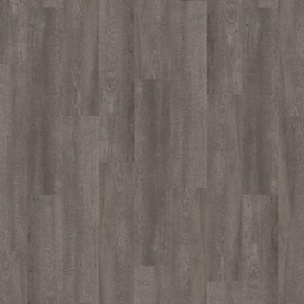 Picture of Palmetto Road - Journey Compass