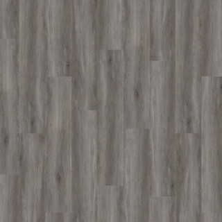 Picture of Palmetto Road - Journey Crossing