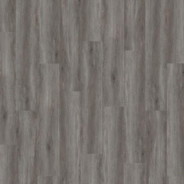 Picture of Palmetto Road - Journey Crossing