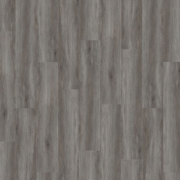 Picture of Palmetto Road - Journey Crossing