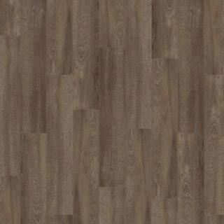 Picture of Palmetto Road - Journey Ramble