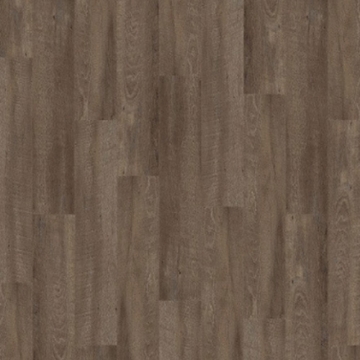 Picture of Palmetto Road - Journey Ramble