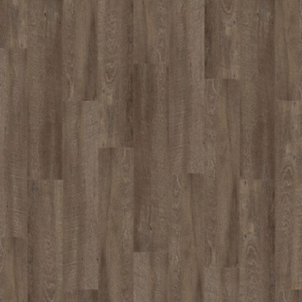 Picture of Palmetto Road - Journey Ramble