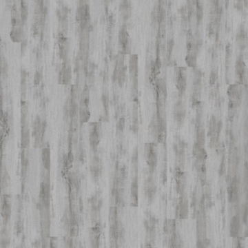 Picture of Palmetto Road - Journey Safari