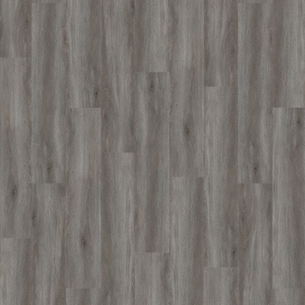 Picture of Palmetto Road - Sojourn Crossing