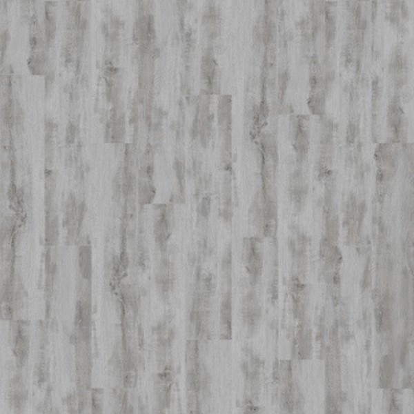 Picture of Palmetto Road - Sojourn Safari