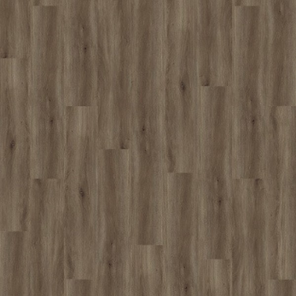 Picture of Palmetto Road - Sojourn Tempo