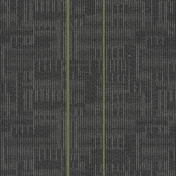 Picture of Pentz - Echo Tile Parrot