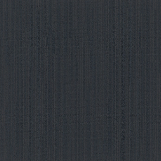 Picture of Pentz - Influencer Tile Advocate