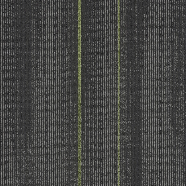 Picture of Pentz - Reverb Tile Parrot