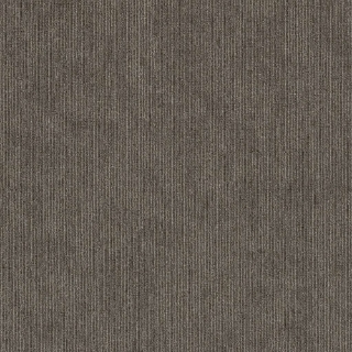 Picture of 5th and Main - Victory Contender Competitor