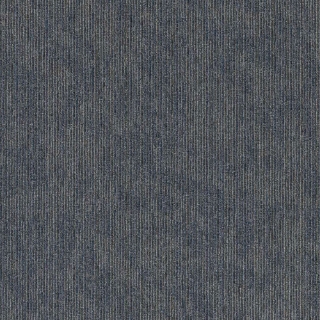 Picture of 5th and Main - Victory Contender Success