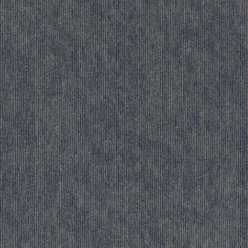 Picture of 5th and Main - Victory Contender Success