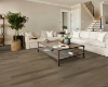 Picture of Shaw Floors - Pantheon HD Plus Natural Bevel Bluff