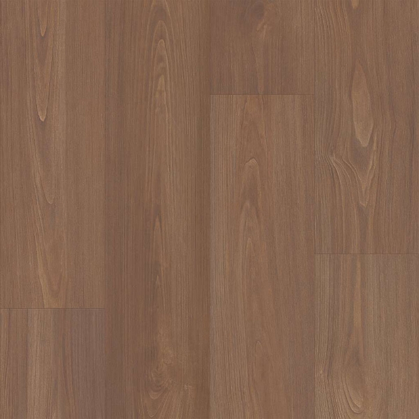 Picture of Shaw Floors - Prodigy HDR MXL Plus Sable