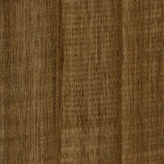 Picture of Shaw Builder - Tri Cities 20 Choke Canyon