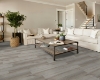 Picture of Shaw Builder - Brio Plus Beach Oak