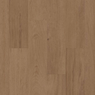 Picture of Philadelphia Commercial by Shaw - Silva Valley 20 Grand Arches