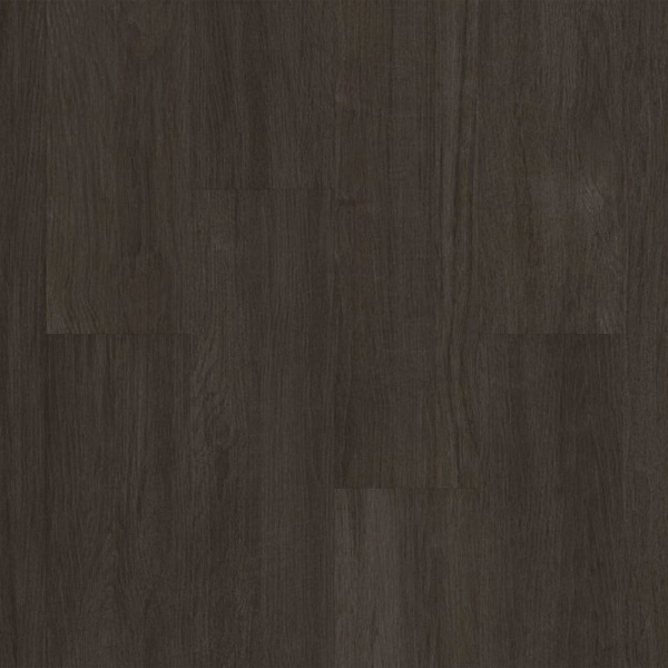 Picture of Philadelphia Commercial by Shaw - Silva Valley 20 Iron Mountain