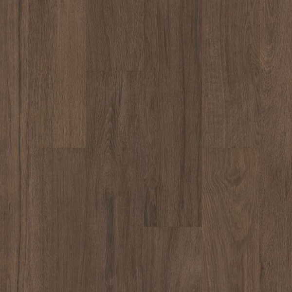 Picture of Philadelphia Commercial by Shaw - Silva Valley 20 Saguaro