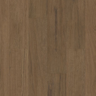 Picture of Philadelphia Commercial by Shaw - Silva Valley 20 Sedona