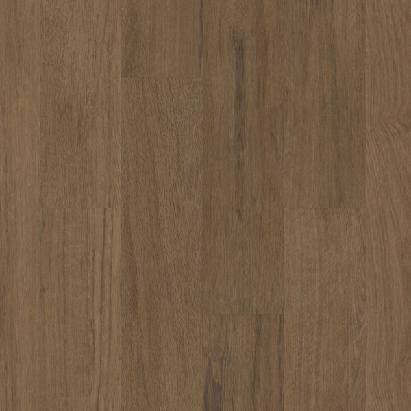 Picture of Philadelphia Commercial by Shaw - Silva Valley 20 Sedona