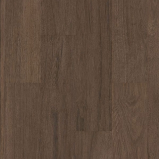 Picture of Philadelphia Commercial by Shaw - Silva Valley 12 Saguaro