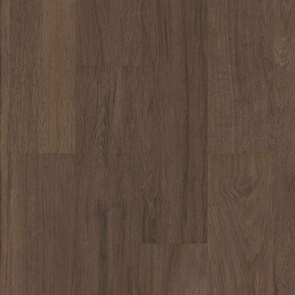 Picture of Philadelphia Commercial by Shaw - Silva Valley 12 Saguaro