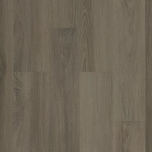 Picture of Philadelphia Commercial by Shaw - Silva Valley 12 Yaquina Bay