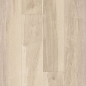 Picture of 5th and Main - Symbiotic 5.0 Nova