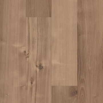 Picture of 5th and Main - Symbiotic 5.0 Sennawood