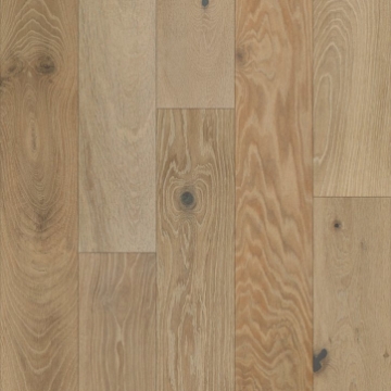 Picture of Shaw Builder - Perspectives Mural