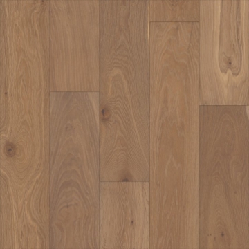 Picture of Shaw Builder - Perspectives Watercolor