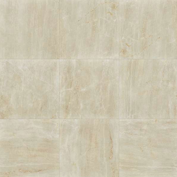 Picture of Shaw Builder - Fossil 24 x 24 Matte Creme