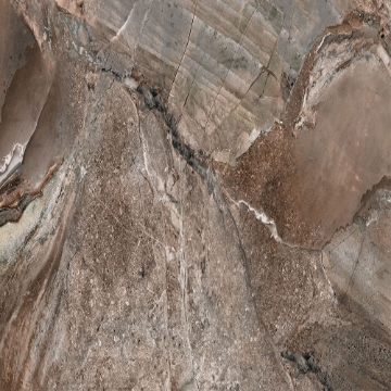 Picture of American Wonder Porcelain - Fossilique Stone 24 x 24 Polished Mineral Umber