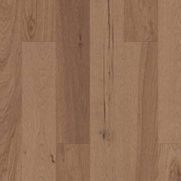 Picture of Shaw Builder - Oasis Hickory Quietude