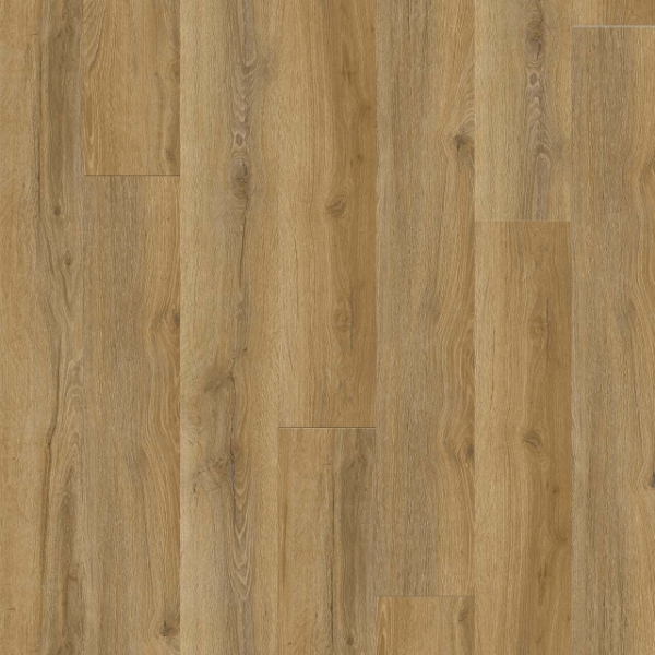 Picture of Dreamweaver - Lifestyle Kyoto