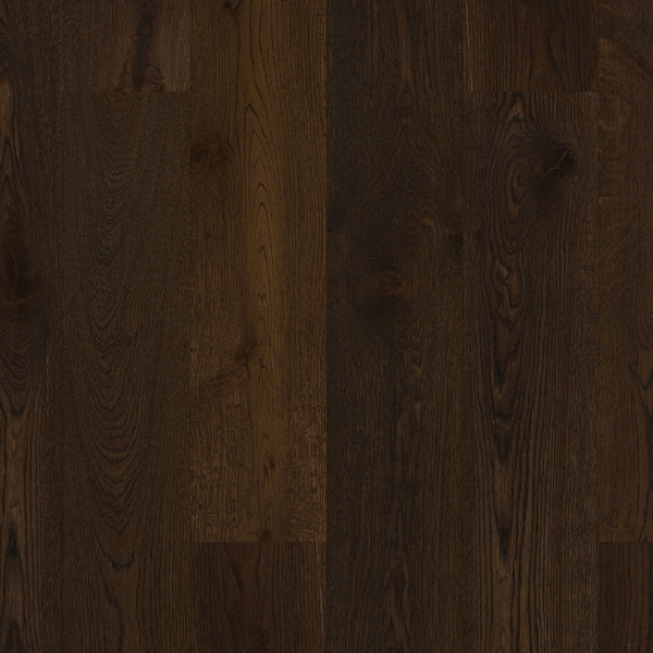 Picture of Shaw Builder - Perspectives Coda