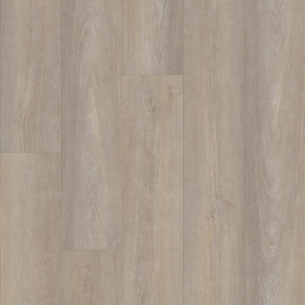 Picture of Shaw Builder - Supino HD Plus Cenere