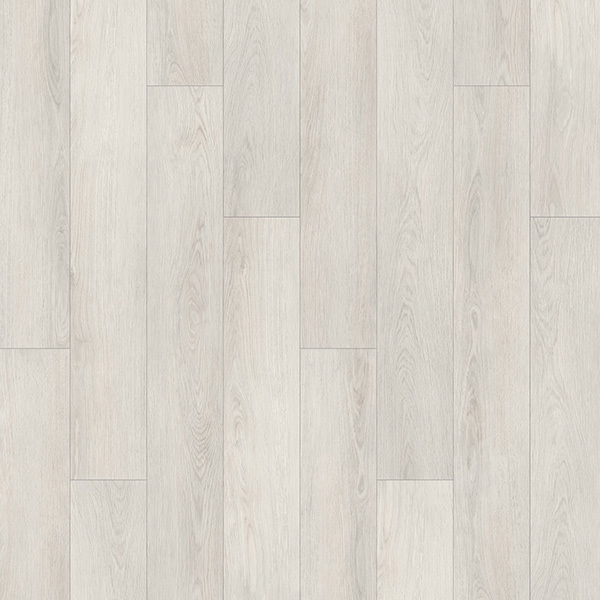 Picture of Palmetto Road - Velocity Oasis