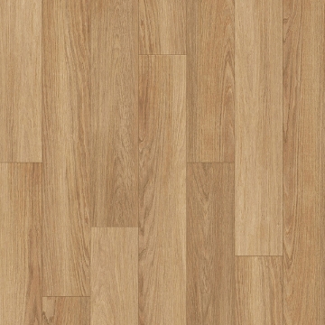 Picture of Palmetto Road - Velocity Desert