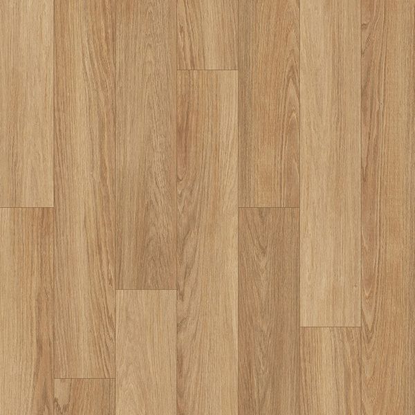 Picture of Palmetto Road - Velocity Desert