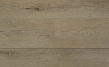 Picture of Audacity - Liberty Hampton