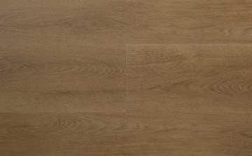 Picture of Audacity - Liberty Vail